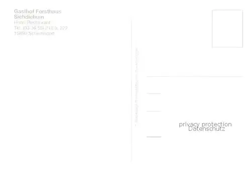 AK / Ansichtskarte  Schernsdorf Gasthof Forsthaus Siehdichum Gartenterrasse Gastraum Schernsdorf