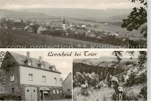 AK / Ansichtskarte 73860250 Lorscheid_Trier Panorama Gasthaus Kaufhaus Blau Landschaft Wild Lorscheid Trier