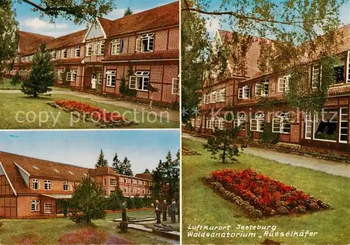 AK / Ansichtskarte  Jesteburg Waldsanatorium Ruesselkaefer Minigolf Jesteburg