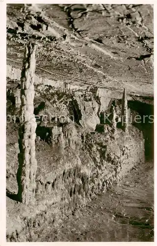 AK / Ansichtskarte Hasel_BW Erdmannshoehle Palmenstaemme 