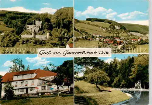 AK / Ansichtskarte Gammelsbach Panorama Burg Gasthof Pension zur Krone Freibad Gammelsbach