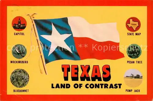 AK / Ansichtskarte Texas_US State Capitol Mockingbird Bluebonnet State Map Pecan Tree Pump Jack Texas_US State