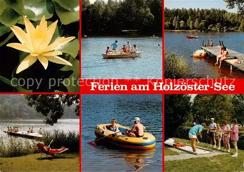 AK / Ansichtskarte  Franking_Oberoesterreich Partien am Holzoester See Minigolf Franking_Oberoesterreich