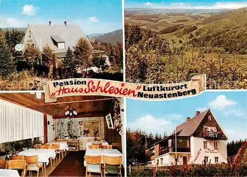 AK / Ansichtskarte 73862339 Neuastenberg Pension Haus Schlesien Gastraum Landschaftspanorama Neuastenberg