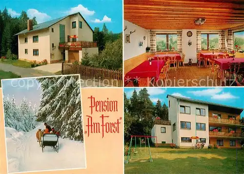 AK / Ansichtskarte  Alexandersbad_Bad Pension Am Forst Gaststube Pferdeschlitten Spielplatz Alexandersbad_Bad