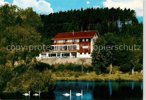 AK / Ansichtskarte  Ronshausen Hotel Immensee Schwaene Ronshausen