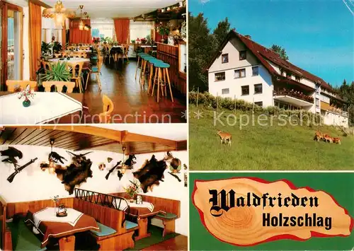 AK / Ansichtskarte  Holzschlag_Bonndorf Pension Waldfrieden mit Gaestehaus Holzschlag_Bonndorf