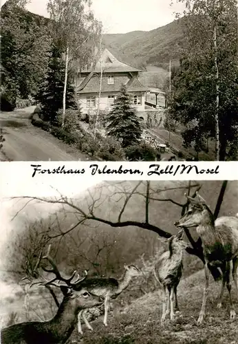 AK / Ansichtskarte  Zell_Mosel Forsthaus Irlenborn Wildpark Zell_Mosel