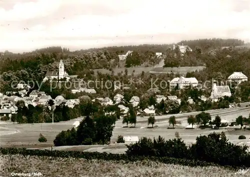 AK / Ansichtskarte  Ortenburg_Niederbayern Panorama