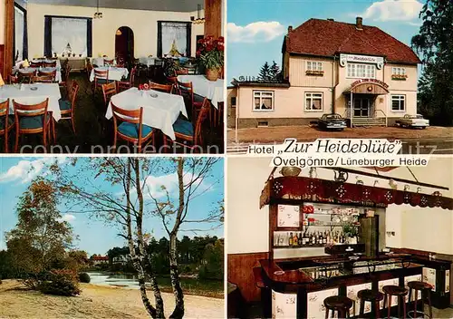 AK / Ansichtskarte 73863123 Hambuehren Hotel zur Heidebluete Gaststube Bar Panorama Hambuehren