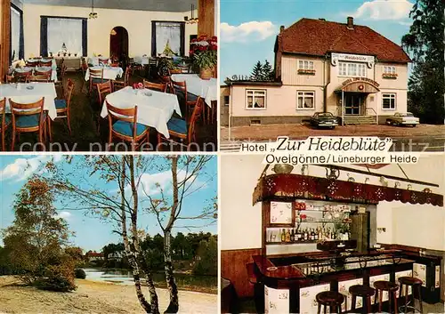 AK / Ansichtskarte 73863124 Ovelgoenne Hotel zur Heidebluete Gaststube Bar Panorama Ovelgoenne