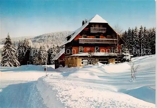 AK / Ansichtskarte  Hinterzarten Café Pension Faller Winter im Schwarzwald Hinterzarten