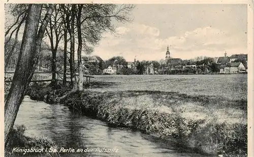 AK / Ansichtskarte  Koenigsbrueck_Sachsen Partie an der Pulsnitz 