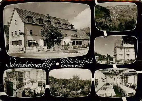 AK / Ansichtskarte  Wilhelmsfeld Gasthaus Pension Schriesheimer Hof Restaurant Panorama Bromsilber Wilhelmsfeld