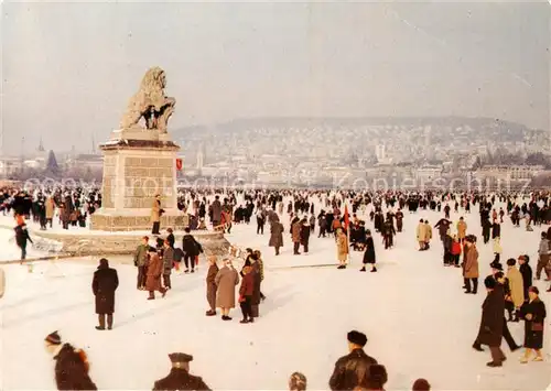 AK / Ansichtskarte  Zurich Seegfroerni 1963 Monument Zurich