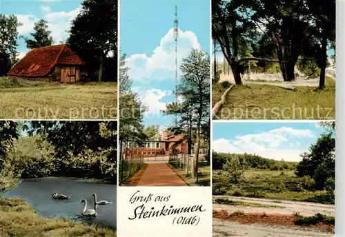 AK / Ansichtskarte  Steinkimmen Waldschaenke Am Fernsehturm Schwanenteich Park Steinkimmen