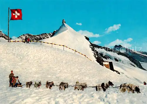 AK / Ansichtskarte  Berner_Oberland Jungfraujoch mit Polarhunden Berner_Oberland