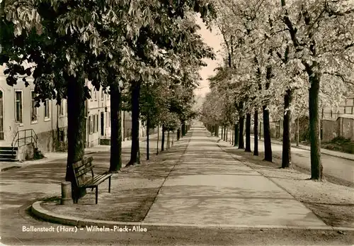 AK / Ansichtskarte 73864270 Ballenstedt Wilhelm-Pieck-Allee Ballenstedt