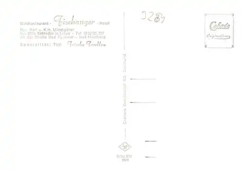 AK / Ansichtskarte  Schieder-Schwalenberg Waldrestaurant Fischanger Schieder-Schwalenberg