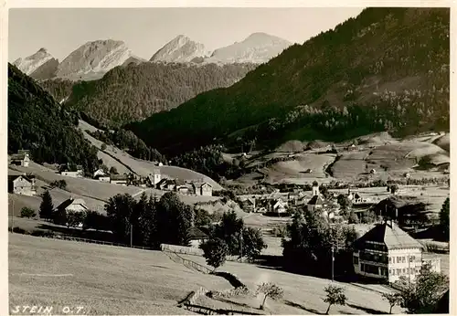 AK / Ansichtskarte  Stein_Toggenburg_SG Panorama Alpen 