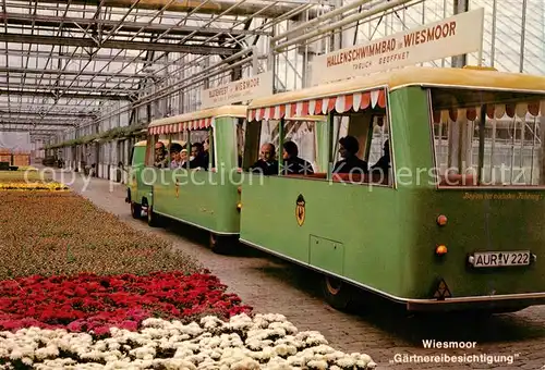 AK / Ansichtskarte 73864559 Wiesmoor Gaertnereibesichtigung mit Besucherfahrzeug Wiesmoor