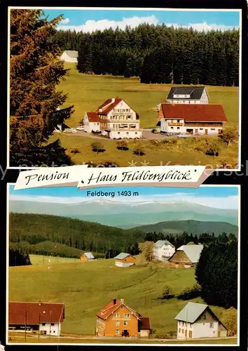 AK / Ansichtskarte 73864612 Titisee-Neustadt Pension Haus Feldbergblick Panorama mit Feldberg Titisee-Neustadt