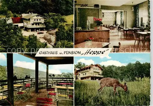 AK / Ansichtskarte  Krausenbach Gasthaus Pension Heppe Gaststube Terrasse Reh Krausenbach