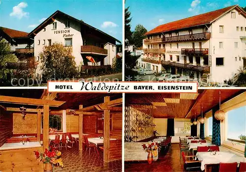 AK / Ansichtskarte  Bayerisch_Eisenstein Hotel Waldspitze Café Bayerisch_Eisenstein