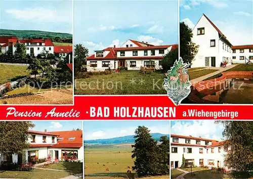AK / Ansichtskarte 73864889 Bad_Holzhausen_Luebbecke_Preussisch_Oldendorf_NRW Pension Annelie Teilansichten Panorama 