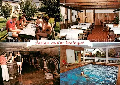 AK / Ansichtskarte 73864892 Leiwen_Mosel Pension Leew Wiesengrund Gastraum Terrasse Weinkeller Hallenbad Leiwen Mosel