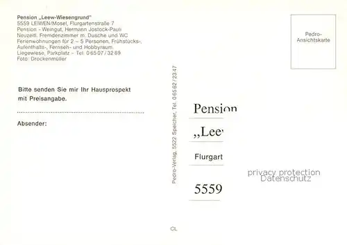 AK / Ansichtskarte  Leiwen_Mosel Pension Leew Wiesengrund Gastraum Terrasse Weinkeller Hallenbad Leiwen Mosel