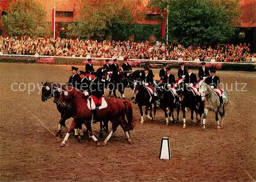 AK / Ansichtskarte  Warendorf Nordrhein-Westfaelisches Landgestuet Warendorfer Hengstparade Dressurquadrille Warendorf