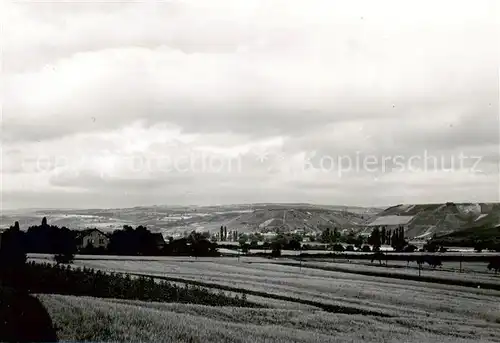 AK / Ansichtskarte  Meddersheim_Sobernheim Panorama 