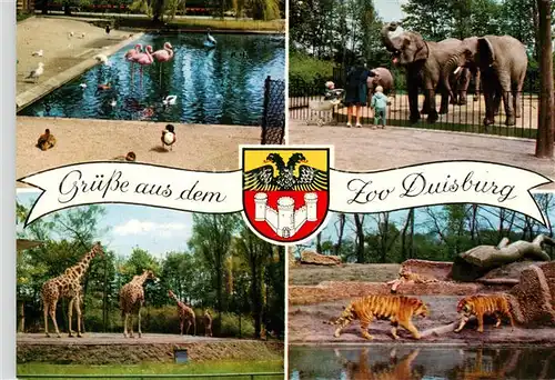 AK / Ansichtskarte  Duisburg__Ruhr Zoo Duisburg Flamingos Elefanten Giraffen Tiger 