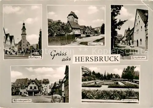 AK / Ansichtskarte  Hersbruck Rathaus Wassertor Spitalkirche Nuernbergertor Rosengarten Hersbruck