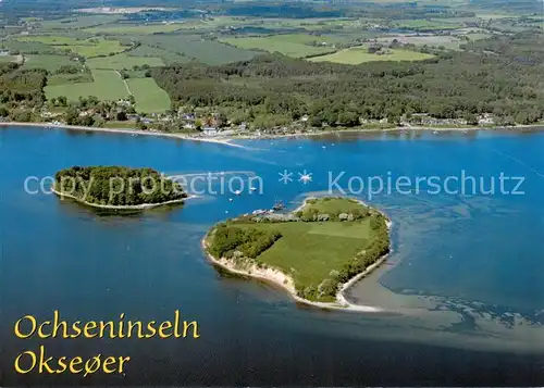 AK / Ansichtskarte 73866272 Okseoerne Ochseninseln in der Flensburger Foerde Fliegeraufnahme Okseoerne
