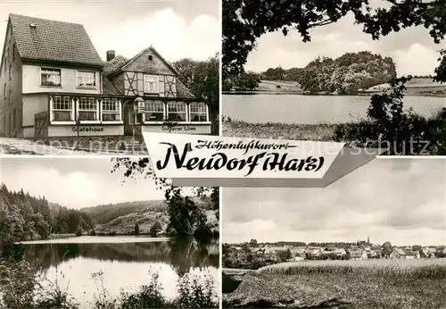 AK / Ansichtskarte  Neudorf_Harz_Harzgerode Gaestehaus Seepartie Panorama 