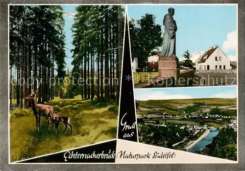 AK / Ansichtskarte 73866358 Echternacherbrueck Panorama Denkmal Waldpartie Rehe Echternacherbrueck