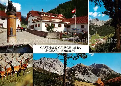 AK / Ansichtskarte  S_Charl Gasthaus Crusch Alba Alpenpanorama Hirsche S_Charl