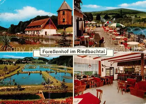 AK / Ansichtskarte  Bad_Sooden-Allendorf Forellenhof im Riedbachtal Gaststaette Fischteiche Terrasse Gaststube Bad_Sooden-Allendorf