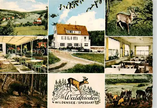 AK / Ansichtskarte 73866914 Wildensee_Unterfranken_Spessart_Eschau Gasthaus Pension Waldfrieden Gastraeume Wildpark Terrasse 
