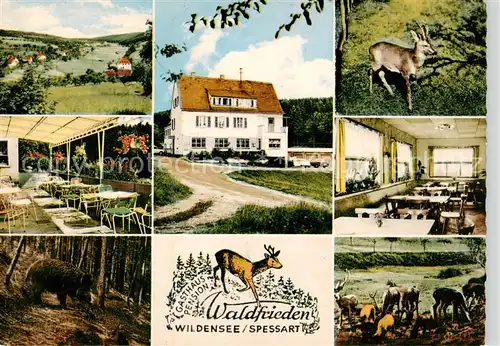 AK / Ansichtskarte  Wildensee_Unterfranken_Spessart_Eschau Gasthaus Pension Waldfrieden Gastraeume Wildpark Terrasse 