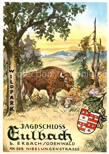 AK / Ansichtskarte 73867046 Erbach_Odenwald Jagdschloss Eulbach Wildpark Kuenstlerkarte Erbach Odenwald