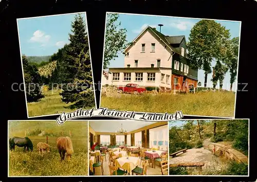 AK / Ansichtskarte  Feudingen Gasthof Heinrich Lahnhof Restaurant Pferdekoppel Landschaft Feudingen