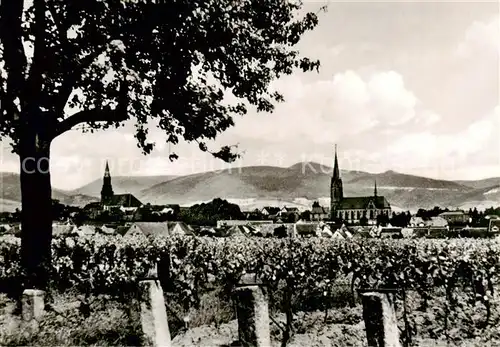 AK / Ansichtskarte  Edenkoben Panorama mit Kirchen Edenkoben