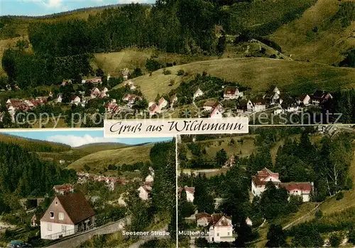 AK / Ansichtskarte  Wildemann_Harz Panorama Seesener Strasse Muetterheim 