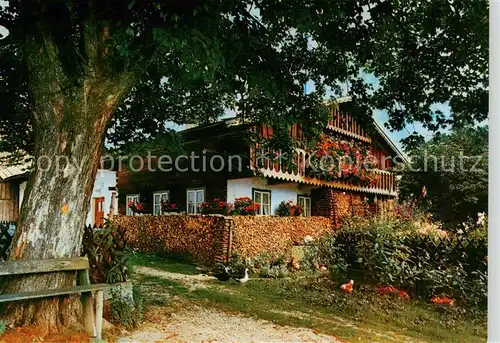 AK / Ansichtskarte 73867433 Sohl_Regen_Niederbayern Altes Waldlerhaus im Naturpark Bayer Wald 