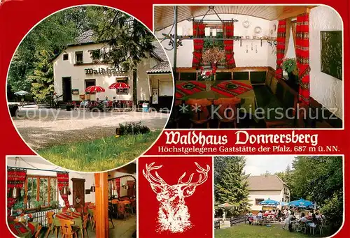 AK / Ansichtskarte  Dannenfels Waldhaus Donnersberg Gastraeume Gartenterrasse Dannenfels