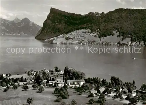 AK / Ansichtskarte  St_Chrischona Kastanienbaum am Vierwaldstaettersee mit Buergenstock St_Chrischona