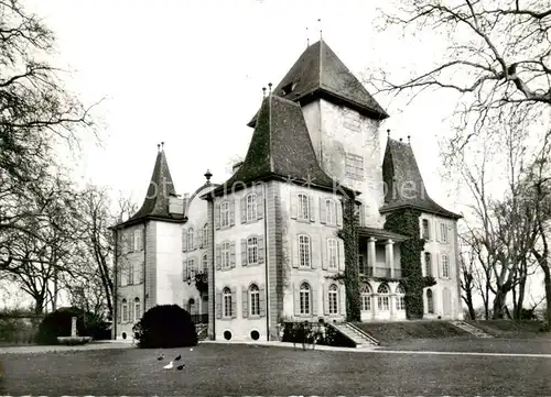 AK / Ansichtskarte  Jegenstorf_BE Schloss Jegenstorf 